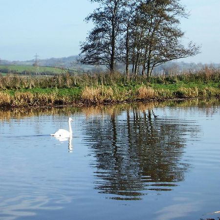 The Bower Inn Bridgwater Bagian luar foto Swans on the River Wye